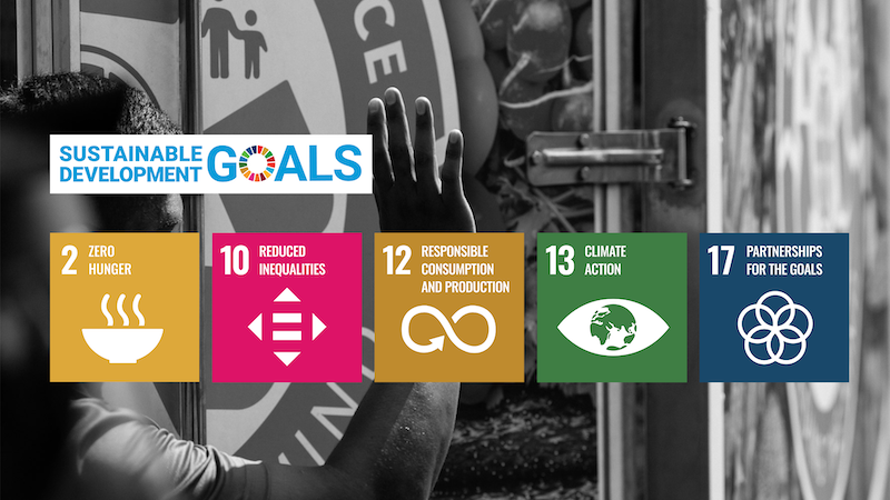 UN Sustainable Development Goals